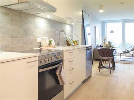 Beautiful 1 Bedroom | Passive Design $2300