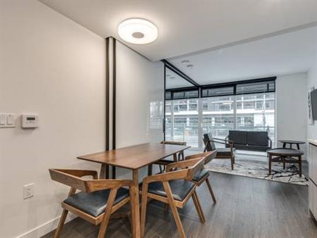 Pet Allowed -Furnished 1 Bedroom @ 89 Nelson St-Available October 1st