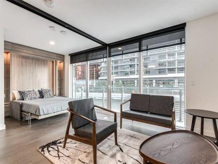 Pet Friendly -Available October 1st-Furnished 1 Bedroom @ 89 Nelson St