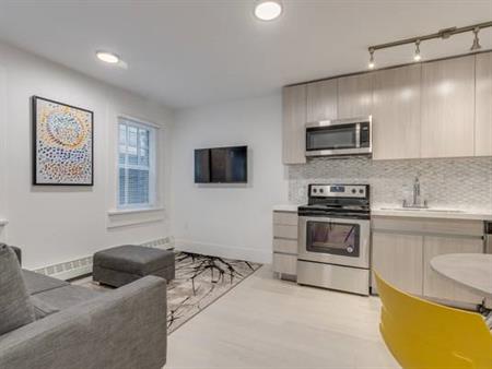 Pet Friendly - Available October 1st - Furnished Studio @ 1425 Haro