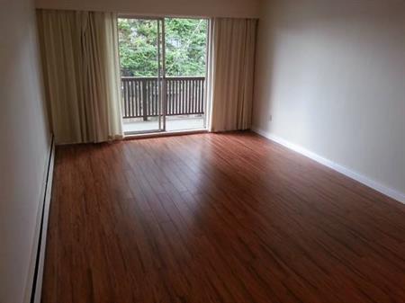 Beautiful 2BR Apartment in Burnaby Highgate