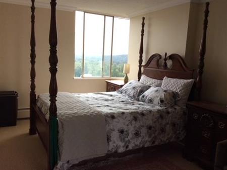 Fully furnished two bedroom Apartment