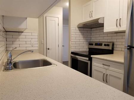 Spacious, Newly Renovated 1 Bedroom Suite - Available Now