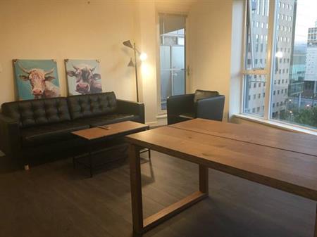 PET ALLOWED-AVAILABLE November 1st-FURNISHED 2 BEDROOM @ 788 Hamilton