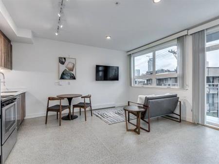 NEW West End Studio-Available February 1st-Pet Friendly@ 1170 Barclay