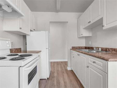 1 Bedroom Apartment Available in Cloverdale