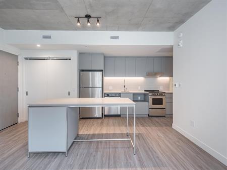 2 Bedroom - 5250 Assomption, Montréal