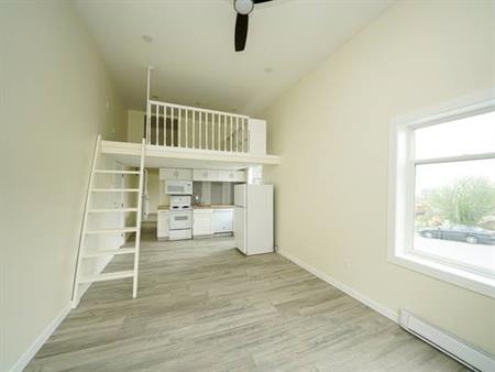 Bright & Spacious 1 Bed with loft in Ladysmith
