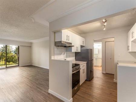Renovated 2 Bedroom Corner Apartment - Available June 15