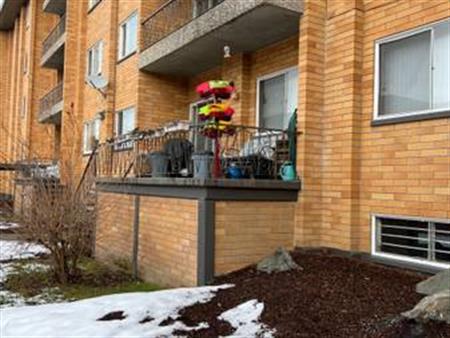 3Br 2Ba, Large Updated apartment, W/D in Suite, Heat&H Water included