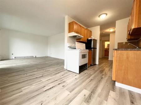 2 Bed, 1 Bath Available in Agassiz! - Marlow