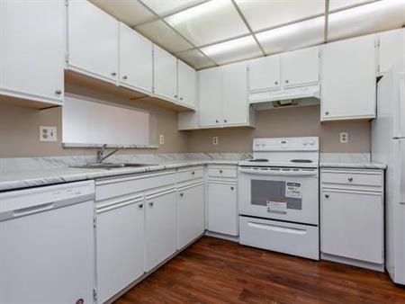 Very Spacious 1 Bedroom Right by New West Skytrain