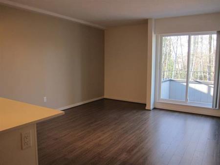 Renovated Two-bed One-bath suite in North Delta