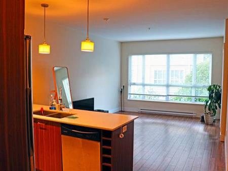 Spacious Pet Friendly, 1 Bedroom + Den beside Gates Park & Poco DT