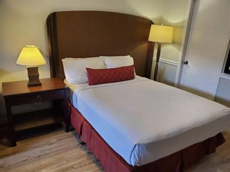1 Queen Bed Room for Rent - Monthly - $1695