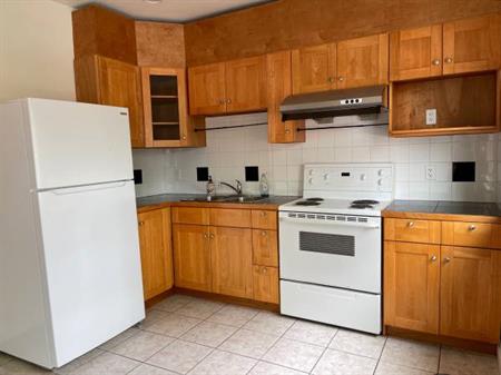 Vancouver east 2 bedroom apartment for rent