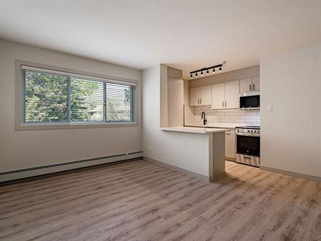 Newly Renovated 1-Bedroom Apartment | 1821 17 Street Southwest, Calgary