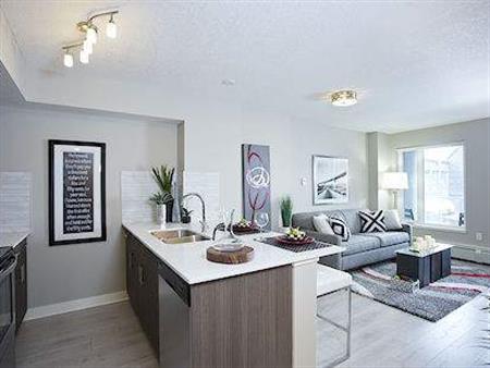 The Metropolitan | 1235 11th Avenue SW, Calgary