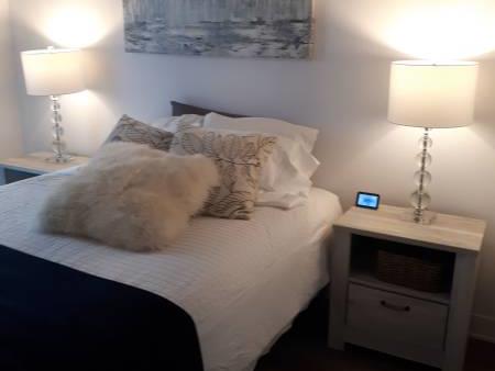 Furnished Luxury Condo Rental – Fully Furnished 2 Bed, 2 Bath