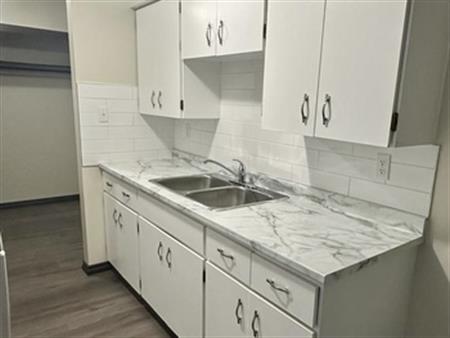 Newly Remodeled Limited Suites Available $200/Mo Discount on Qualifying Lease -  Bach, 1,2 or 3 Bdrm,  In-Suite W/D | 144 Tam