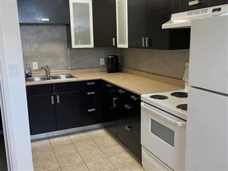 Furnished Bachelor Apartment for Rent - STUDENTS WELCOME - ALL IN | 80 Brodie Avenue, Greater Sudbury
