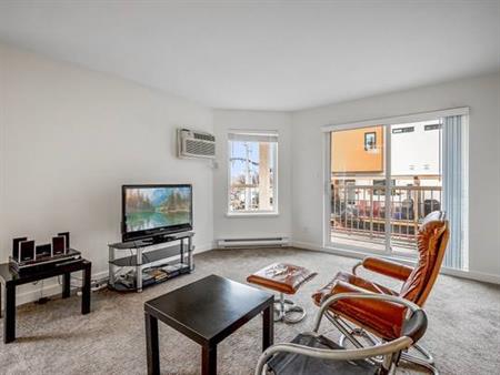 1 Bed + Den - newly renovated