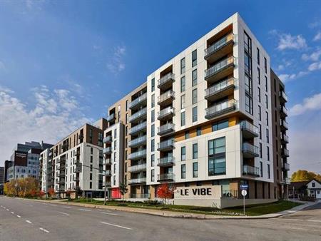 Le Vibe | 78-88 Dollard-des-Ormeaux street, Gatineau