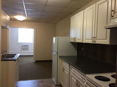 Bowden newly renovated 1 BR apartment | Bowden, Alberta, Bowden