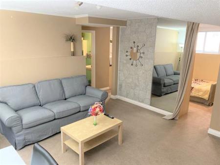 Beautiful furnished all-inclusive bright basement suite (Albion)