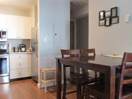 All-Inclusive - Down Town- Studio Condo