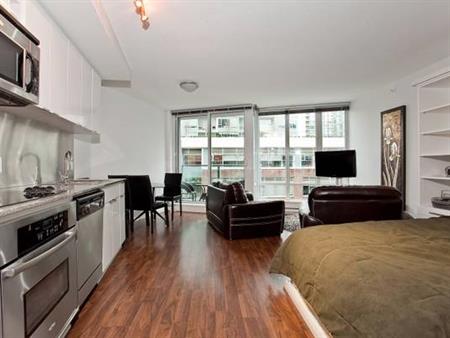 Available November 1st- Pet Friendly Furnished Studio @233 Robson