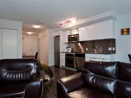 Available November 1st - Pet Welcome Furnished Studio @233 Robson