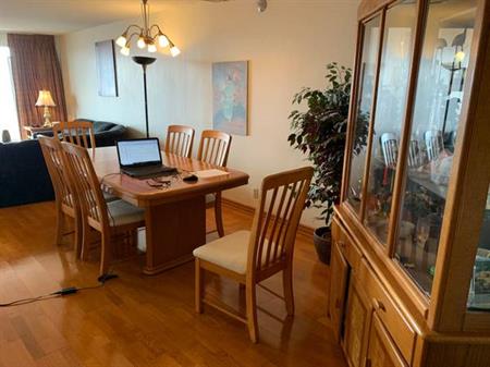 Large(1045s.f.) fully furnished condo