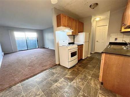 1 bed 1 bath Apartment for rent - 1755 No 9 Hwy