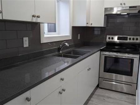 Clean and high end 2 bedroom 1 bath suite