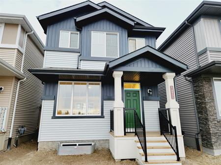 1693 Cavanagh Blvd. SW - BSMT | 1693 Cavanagh Blvd SW, Edmonton