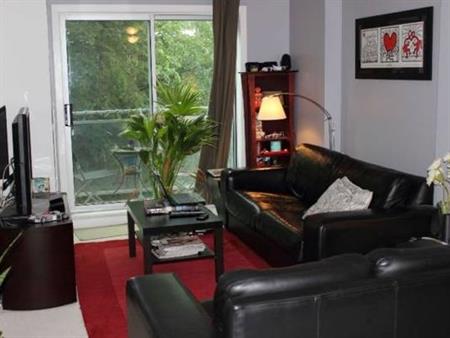 Gorgeous Downtown One Bedroom Condo