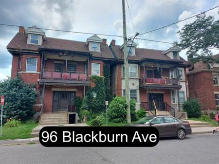 1 Bedroom Sandy Hill Apartment for Rent (96 Blackburn Ave)