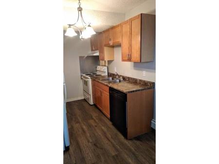 Stop Sharing Laundry With This Renovated Bright Affordable 3 Bedroom w Washer/Dryer | #2 - 4803 61A St., Stettler, Stettler