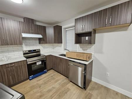 Brand new 2 bed basement suite $1800
