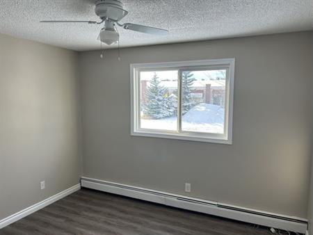 Rent 2 bedroom house in Edmonton
