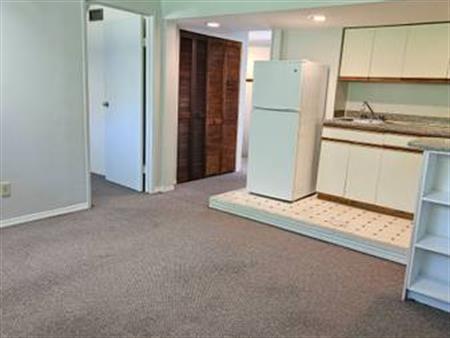 One Bedroom Basement suite for Rent