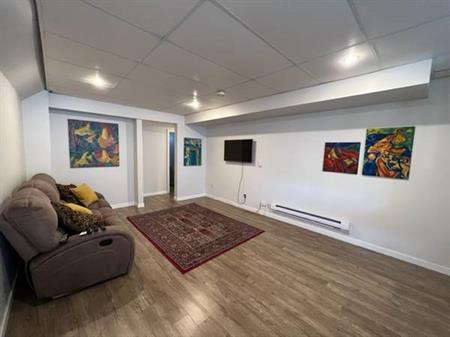 Furnished, large bright basement suite