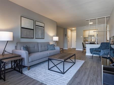 Large And Newly Renovated 1 Bedroom Apartment - 4615-4625 Bourret Avenue, Montréal