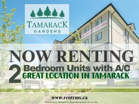 Tamarack Gardens | 707 / 711 Tamarack Way, Edmonton