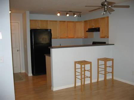 2Bed 2Bath Condo incl utils and parking in Downtown East Village