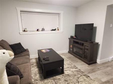 Willoughby 1br Basement suite - Utilities Included