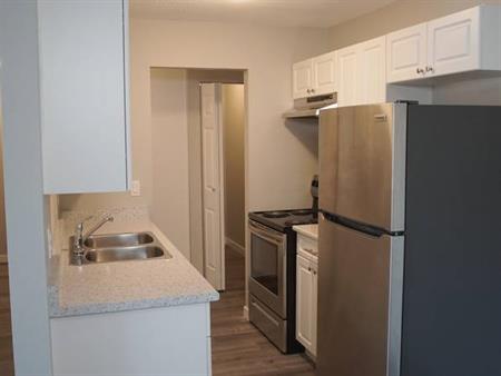 Renovated 2 Bedroom, 1 Bathroom suites available!