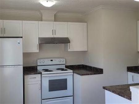Renovated 2 Bed and Den close to downtown