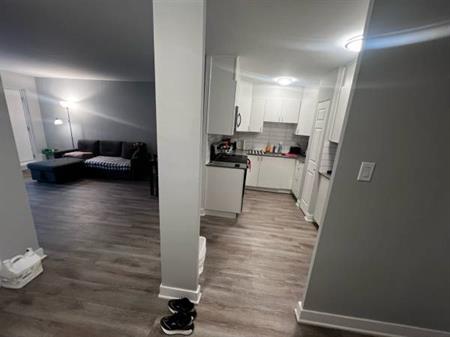 Furnished one bedroom apartment in downtown